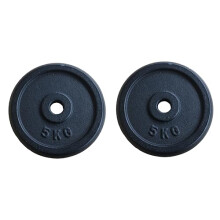Cast Iron Weight Plates fit all standard 1 inch diameter bars Fitness Dumbbell Weights Set Bodybuilding Weight Lifting Home Gym Equipment (5kgs x 2
