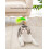 1pcs  Cat Interactive Toy Simulate Bird Interactive Sucker Feather Bell Funny Cat Toys 2