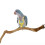 Natural Parrot Perch Bird Stand Pole Wild Tree Stick Paw Grinding Fork Parakeet 8