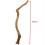 Natural Parrot Perch Bird Stand Pole Wild Tree Stick Paw Grinding Fork Parakeet 2