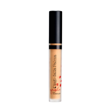 Diego Dalla Palma Geisha Lift Lifting Cream Concealer 121 3 ml
