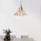 Flower Pendant Light Glass Ceiling Lamp Minimalist Small 6