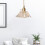 Flower Pendant Light Glass Ceiling Lamp Minimalist Small 7