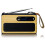 Portable DAB+/FM Radio with Bluetooth, Bamboo, Black 2