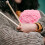 Chenille Blanket Yarn Pink 0.22 lb 6