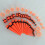 Ear Expander Set Hypoallergenic 50 Pcs 7