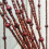 Wooden Beaded Curtain Boho Style 27 Strands Brown 3
