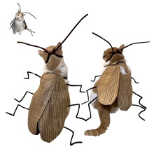 Cat cockroach costume DIY kit with antennae