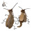 Cat Cockroach Costume DIY Kit for Halloween 1