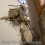 Cat Cockroach Costume DIY Kit for Halloween 5