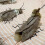 Cat Cockroach Costume DIY Kit for Halloween 6