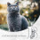 Cat Initial Pendant Necklace Silver Alphabet A to Z 5