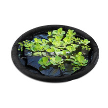 Protecteur de plante d'île flottante, barrière à poissons-60cm