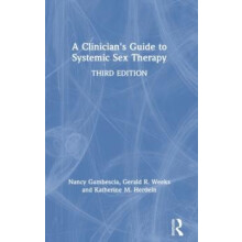 A Clinicians Guide to Systemic Sex Therapy by Nancy Gambescia Hardcove