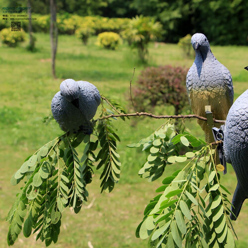 Outdoor Dove Decoy for Field Simulation Decoration 1
