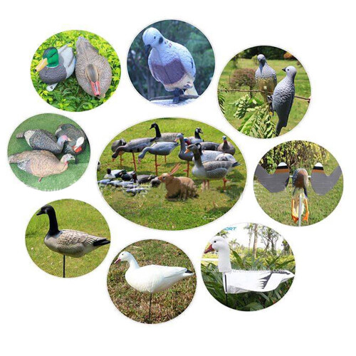 Outdoor Dove Decoy for Field Simulation Decoration 2