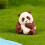 Panda Figurines Plastic Jungle Animal Set with Bamboo and 1