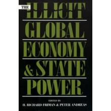 Illicit Global Economy and State Power Paperback Book
