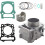 Moteur HISUN MASSIMO BENNCHE COLEMAN500cc 1