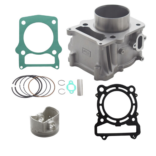 Moteur HISUN MASSIMO BENNCHE COLEMAN500cc 2