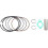 HISUN MASSIMO BENNCHE COLEMAN 500cc Cylinder Piston Top End 6