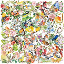 50 vellen waterdichte sticker bagagesticker aquarel vogelsticker