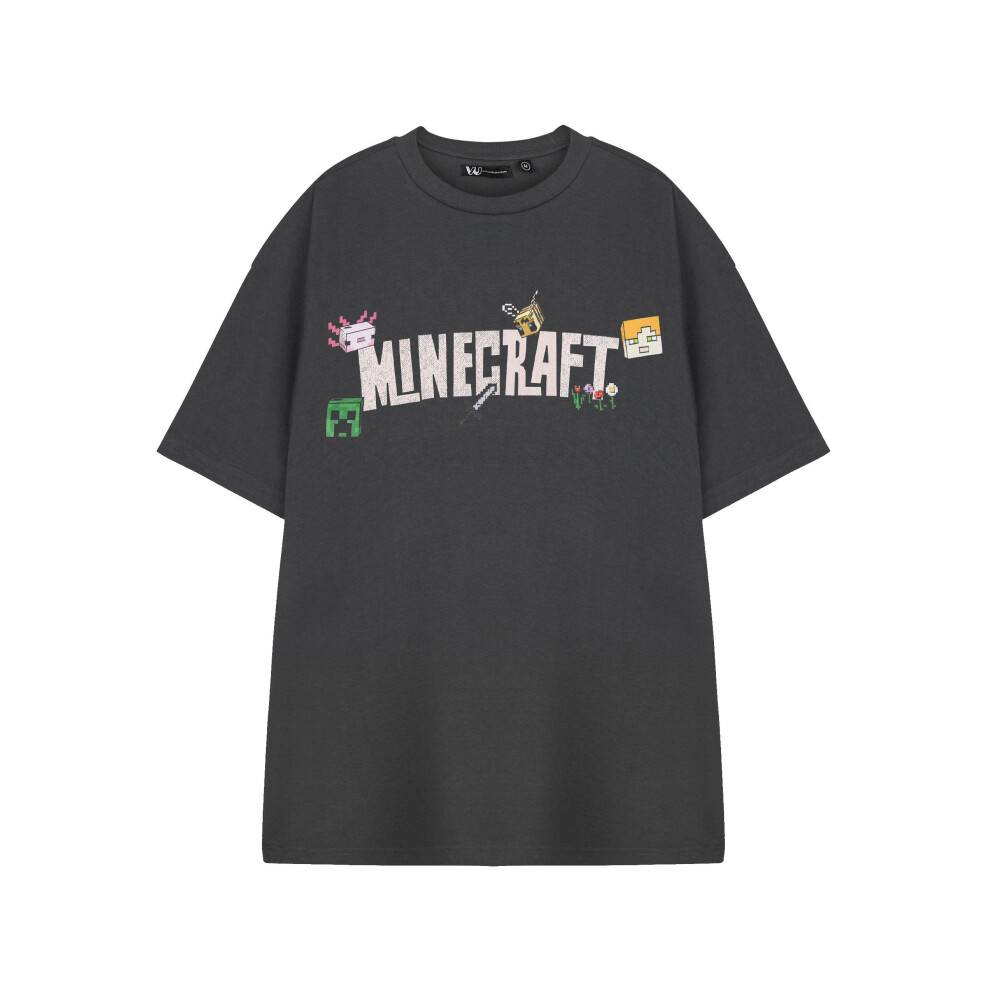 Minecraft (Xx-Large) Short Sleeved T-Shirt (Womens Grey)