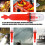 Waterproofed 3V LED Navigations Light with Fish-Single flash 11