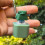 Portable Frogs Shaped Keyboards Accessory Tactile Press Toy 11