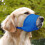 Dog Muzzle Set Breathable Adjustable 7 Pieces 7