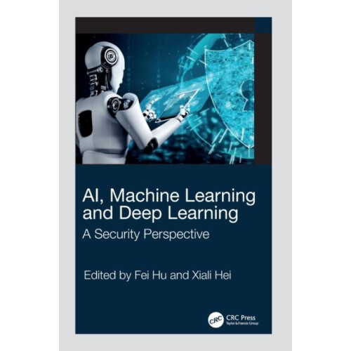 AI Machine Learning and Deep Learning A Security Perspective Hardcover