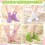 Calcetines deportivos de algodón multicolor con estampado de corazones para niñas. 7