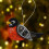 Felt Bird Ornament Christmas Tree Decoration Orange 7