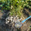 Stainless Steel Peanut Picker and Egg Grasper 107cm 5