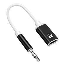 Adaptateur de son USB Type C vers Auxs, câble de prise-Noir