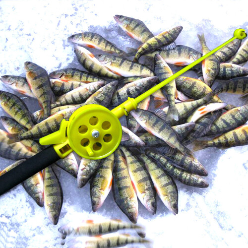 Petite canne à pêche sur glace, pour lac, étang, rivière, 1
