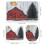 Ensemble de rideau de douche Red Barn Snowy Winter 4 pièces avec 3