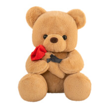 Teddybeer pluche pop met roos 24,3 cm