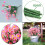 Künstliche Gänseblümchen-Chrysanthemen, orange, 6er-Pack, farbecht 4