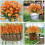 Künstliche Gänseblümchen-Chrysanthemen, orange, 6er-Pack, farbecht 5