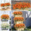 Künstliche Gänseblümchen-Chrysanthemen, orange, 6er-Pack, farbecht 6