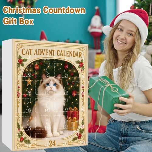 Katt Adventskalender med 24Ornaments 1