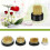 Kenzan blomsterfroskholder for ikebana-arrangering 2