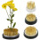 Kenzan blomsterfroskholder for ikebana-arrangering 4