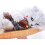 Oiseau chantant rechargeable Celery Pets pour chat 3