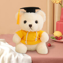 Graduation Bear Doll Soft Plush 23cm