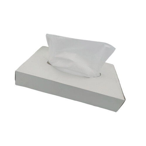 Disposable Makeup Protector Hood Light Airy Makeup Hood Cosmetic