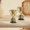 Coppe trofeo dorate in plastica, 6 pezzi 8