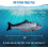Flopping Fish kattleksaker med silvervin och kattmynta 2-pack 2