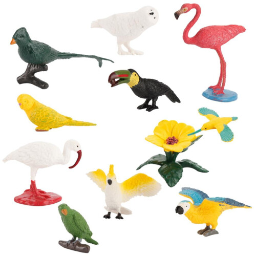 Uccellini giocattolo per bambini, 10 pezzi 2